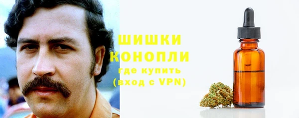 ГАЛЛЮЦИНОГЕННЫЕ ГРИБЫ Волосово