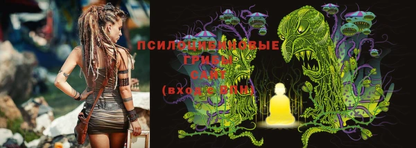 молекула духа Бугульма