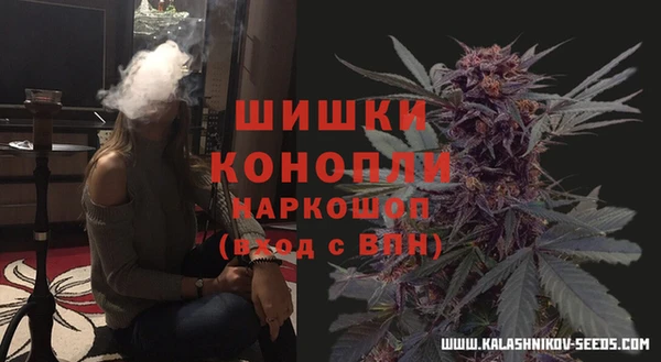 молекула духа Бугульма