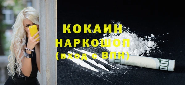 mix Бородино